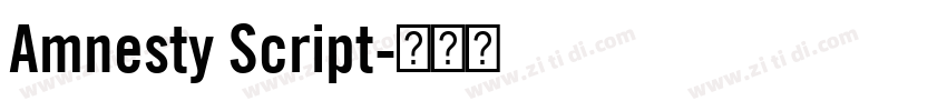 Amnesty Script字体转换 Amnesty Script字体转换